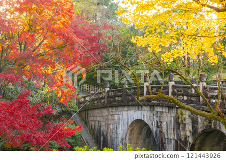秋天的京都，大谷本名神社，遠通橋（女目橋）被秋葉覆蓋 121443926