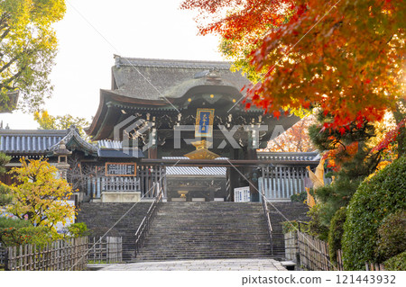 秋天的京都，大谷本廟，正門被秋葉覆蓋 121443932