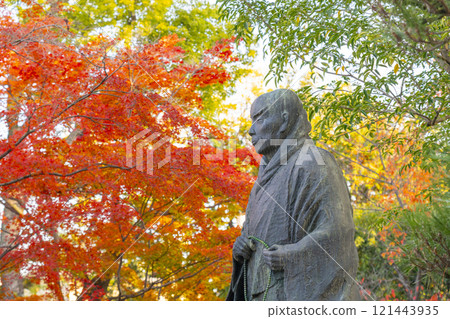 秋天的京都，大穀神社，親鸞上人雕像被秋葉覆蓋 121443935