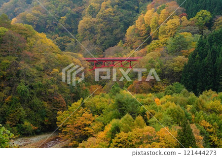 秋天的信州高山村 紅色的高井橋在黃葉染成的松川溪谷中格外引人注目 121444273