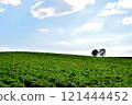 Green hills and white clouds 121444452