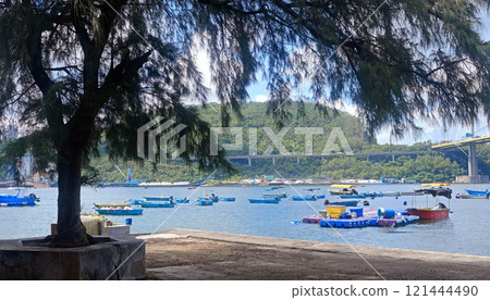 Tree, garden floor, fishing boat on water bay in Hong Kong outdoor public park 121444490