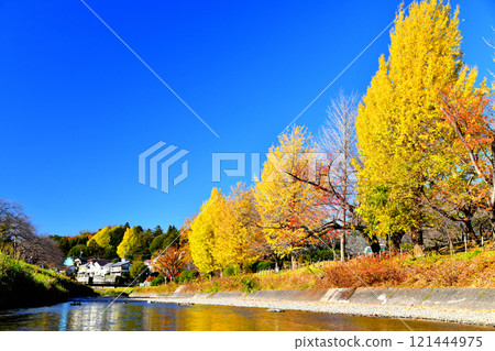 Around Ryonan Park/Minamiasakawa (Hachioji City, Tokyo) [2024.11] 121444975