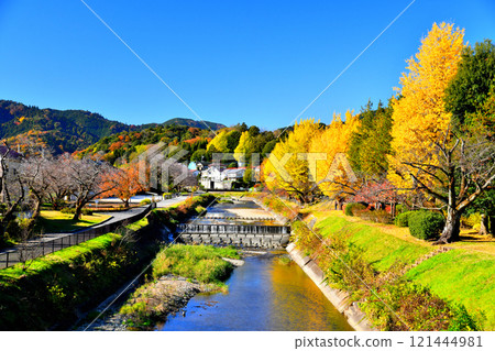 Around Ryonan Park/Minamiasakawa (Hachioji City, Tokyo) [2024.11] 121444981