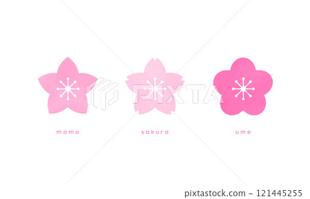 可愛的春天的花朵。櫻花、桃子和李子的向量插圖圖示集。 可愛的春天的花朵。櫻花、桃子和李子的向量插圖圖示集。 121445255