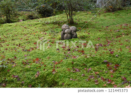 Adorable Jizo family at Shisendo in Kyoto in autumn Adorable Jizo family at Shisendo in Kyoto in autumn 121445373
