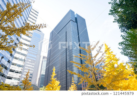 建築物和街道樹木與秋葉的風景 建築物和街道樹木與秋葉的風景 121445979