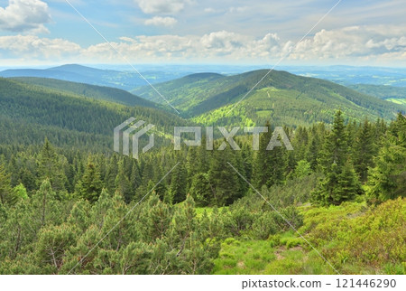 Landscape of the Krkonose Mountains in the Czech Republic 121446290
