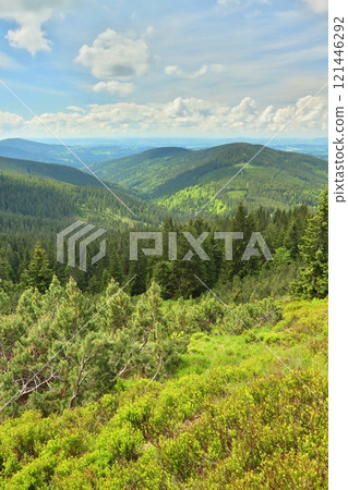 Landscape of the Krkonose Mountains in the Czech Republic 121446292