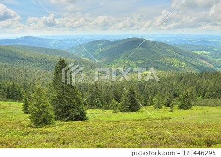 Landscape of the Krkonose Mountains in the Czech Republic Landscape of the Krkonose Mountains in the Czech Republic 121446295