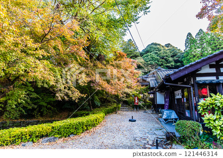 Autumn leaves at Akizuki Castle ruins [Asakura City, Fukuoka Prefecture] 121446314