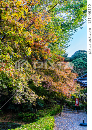 Autumn leaves at Akizuki Castle ruins [Asakura City, Fukuoka Prefecture] 121446320