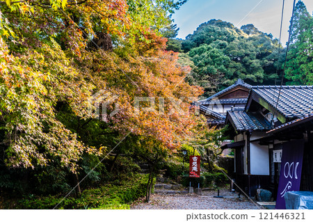 Autumn leaves at Akizuki Castle ruins [Asakura City, Fukuoka Prefecture] 121446321