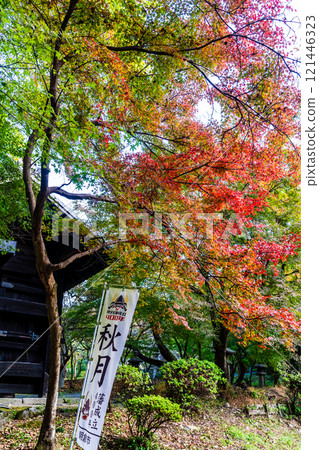 秋月城跡的紅葉【福岡縣朝倉市】 121446323