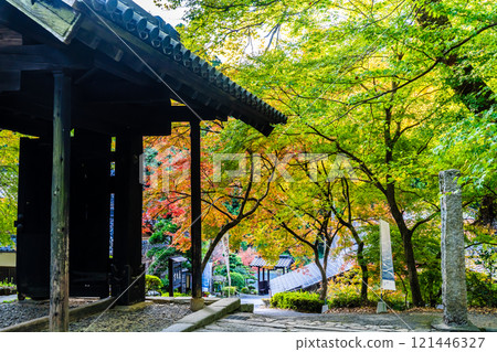 秋月城跡的紅葉【福岡縣朝倉市】 秋月城跡的紅葉【福岡縣朝倉市】 121446327