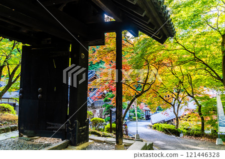 Autumn leaves at Akizuki Castle ruins [Asakura City, Fukuoka Prefecture] 121446328
