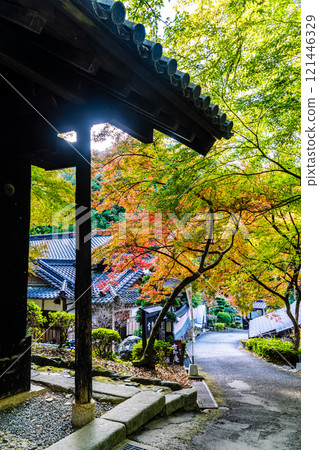 Autumn leaves at Akizuki Castle ruins [Asakura City, Fukuoka Prefecture] 121446329