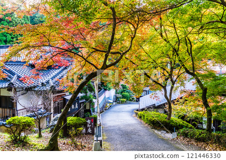 秋月城跡的紅葉【福岡縣朝倉市】 121446330