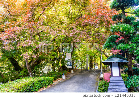 秋月城跡的紅葉【福岡縣朝倉市】 121446335