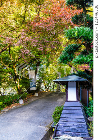 Autumn leaves at Akizuki Castle ruins [Asakura City, Fukuoka Prefecture] 121446336