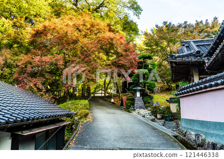 Autumn leaves at Akizuki Castle ruins [Asakura City, Fukuoka Prefecture] 121446338