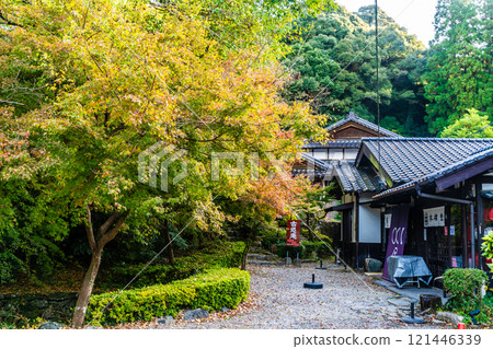 秋月城跡的紅葉【福岡縣朝倉市】 121446339