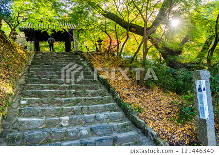 Autumn leaves at Akizuki Castle ruins [Asakura City, Fukuoka Prefecture] 121446340