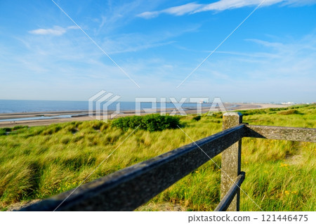 Beautiful Dutch coastal landscape with beach and dunes in Netherlands Beautiful Dutch coastal landscape with beach and dunes in Netherlands 121446475