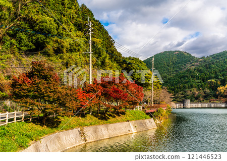 Autumn leaves at Kawachi Reservoir [Kitakyushu City, Fukuoka Prefecture] 121446523