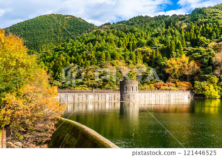 Autumn leaves at Kawachi Reservoir [Kitakyushu City, Fukuoka Prefecture] 121446525