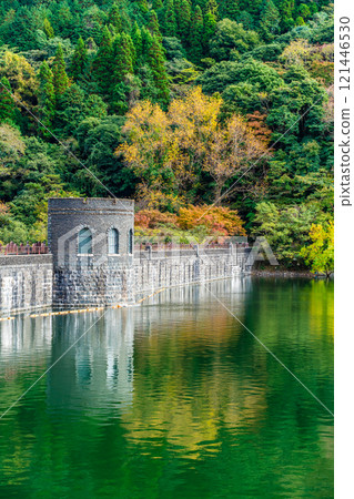 Autumn leaves at Kawachi Reservoir [Kitakyushu City, Fukuoka Prefecture] 121446530