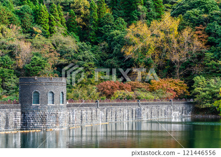 Autumn leaves at Kawachi Reservoir [Kitakyushu City, Fukuoka Prefecture] 121446556