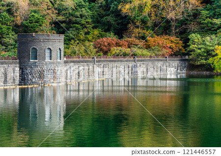 Autumn leaves at Kawachi Reservoir [Kitakyushu City, Fukuoka Prefecture] 121446557