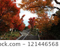 Beautiful autumn leaves at the Autumn Foliage Stairs in Yumoto, Nagato, Yamaguchi Prefecture 121446568
