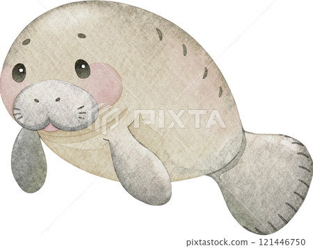 海牛水彩插圖 海牛水彩插圖 121446750
