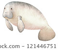 海牛水彩插圖 121446751