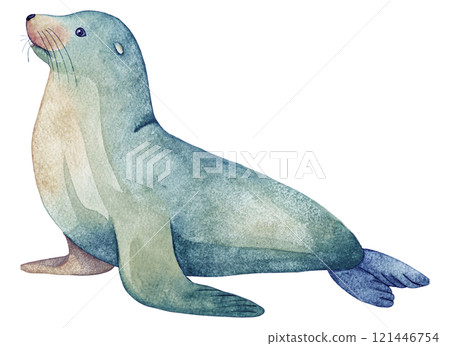 海獅水彩插圖 121446754