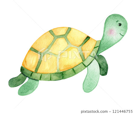 Sea turtle watercolor illustration 121446755