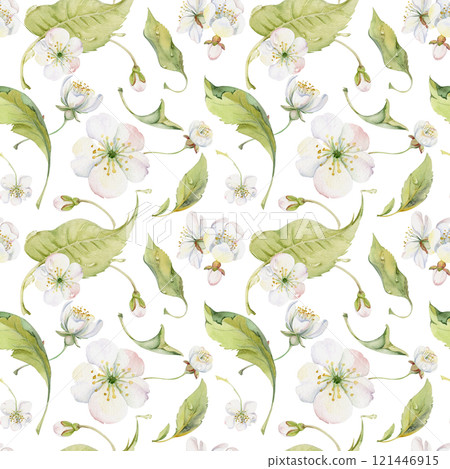 Cherry sakura apple white flower and bud with green leaves on branches, hand drawn in watercolor, wildflower botanical illustration. Seamless isolated pattern for wedding, florist shop, scrapbooking 121446915