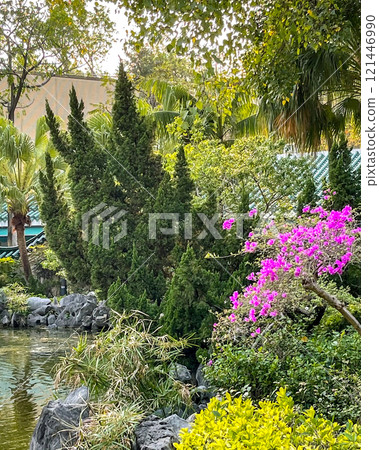Flowers, green plant, water pond, trees in Hong Kong outdoor purblic park 121446990