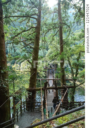 祖谷葛橋/日本最奇特的三座橋樑【德島縣三好市西祖山村四德】 祖谷葛橋/日本最奇特的三座橋樑【德島縣三好市西祖山村四德】 121447024