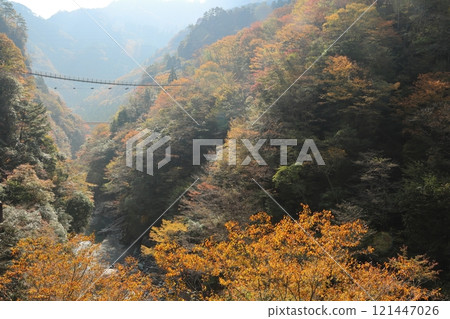 祖谷葛橋/日本最奇特的三座橋樑【德島縣三好市西祖山村四德】 祖谷葛橋/日本最奇特的三座橋樑【德島縣三好市西祖山村四德】 121447026