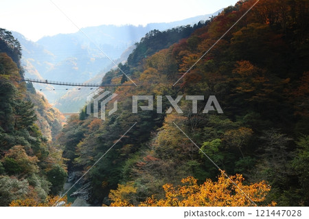 Iya's Kazura Bridge / One of Japan's Three Unusual Bridges [Zentoku, Nishiiyayama Village, Miyoshi City, Tokushima Prefecture] 121447028