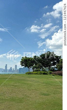 Hong Kong buildings,, tree in Hong Kong outdoor purblic  park with blue sky and harbour 121447424