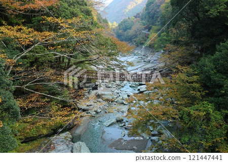 祖谷葛橋/日本最奇特的三座橋樑【德島縣三好市西祖山村四德】 121447441