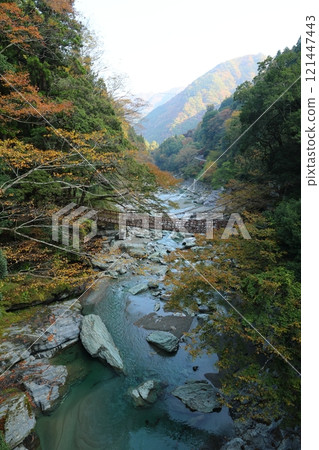 Iya's Kazura Bridge / One of Japan's Three Unusual Bridges [Zentoku, Nishiiyayama Village, Miyoshi City, Tokushima Prefecture] 121447443