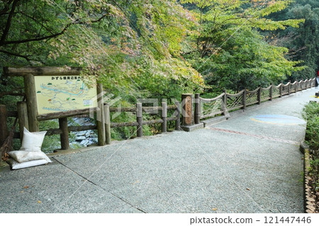 祖谷葛橋/日本最奇特的三座橋樑【德島縣三好市西祖山村四德】 祖谷葛橋/日本最奇特的三座橋樑【德島縣三好市西祖山村四德】 121447446