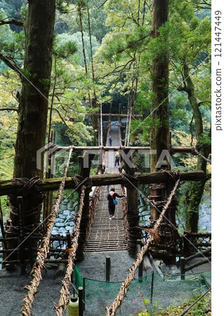 Iya's Kazura Bridge / One of Japan's Three Unusual Bridges [Zentoku, Nishiiyayama Village, Miyoshi City, Tokushima Prefecture] 121447449