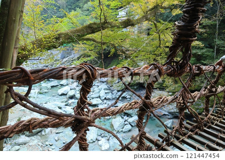 祖谷葛橋/日本最奇特的三座橋樑【德島縣三好市西祖山村四德】 121447454