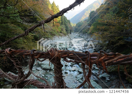 Iya's Kazura Bridge / One of Japan's Three Unusual Bridges [Zentoku, Nishiiyayama Village, Miyoshi City, Tokushima Prefecture] 121447456